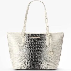 Brahmin medium Asher everlasting ombre